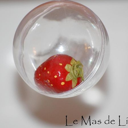 ור פון דו גאר Maison D'Hotes Le Mas De Lila מראה חיצוני תמונה